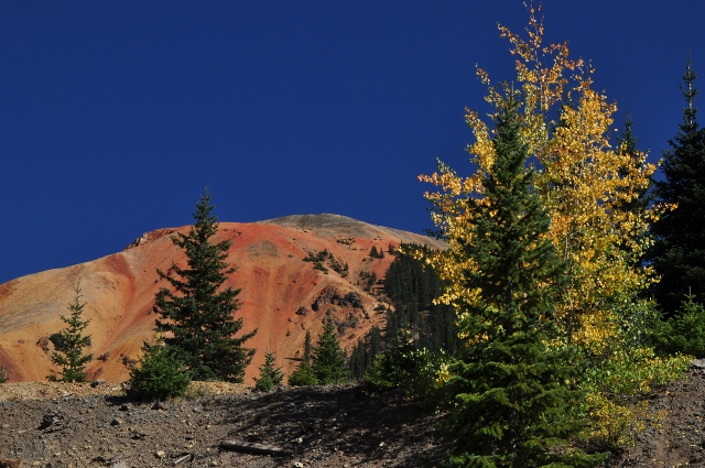 jeep tour to Brown Mountain